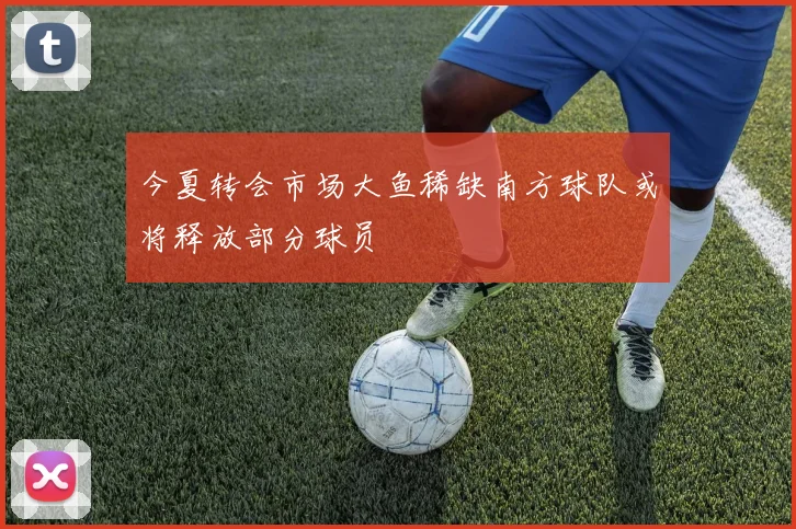 今夏转会市场大鱼稀缺南方球队或将释放部分球员